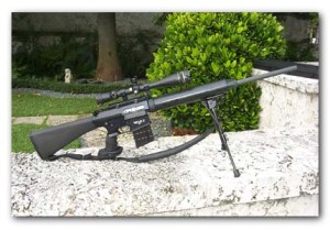 SR 25 Stoner Sniper Rifle